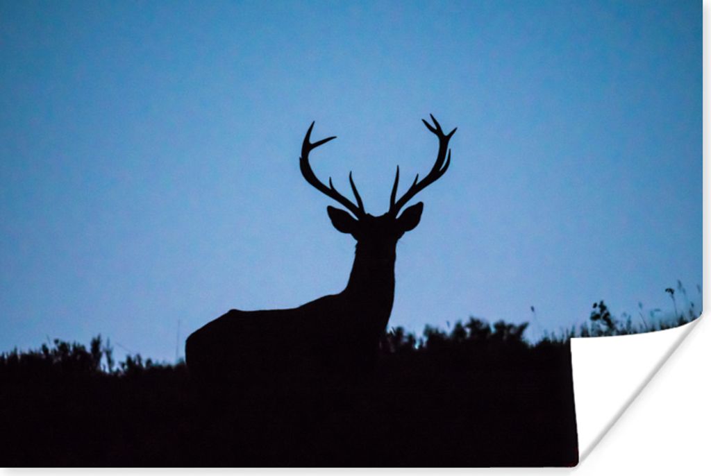 MuchoWow Poster Hirsch - Scherenschnitt - Himmel 30x20 cm - Plakate - Print