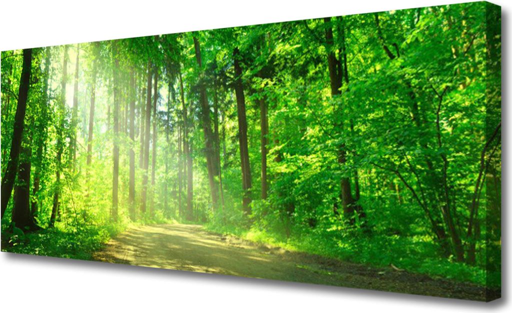 Tulup Leinwand-Bilder 125x50 Wandbild Canvas Kunstdruck Wald Natur