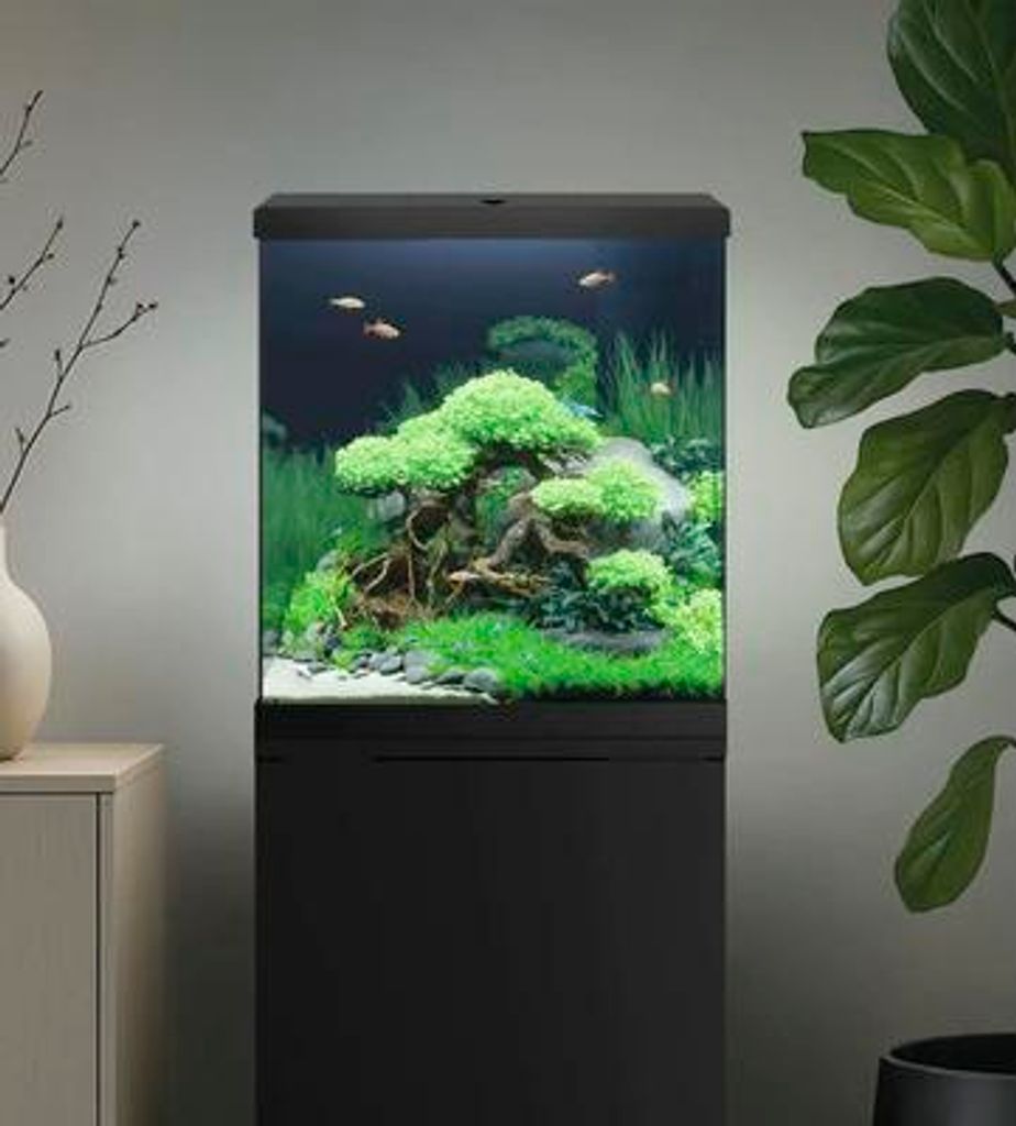 Aquariumkombination JUWEL Vio Cube 54 inkl. LED Produktbild 