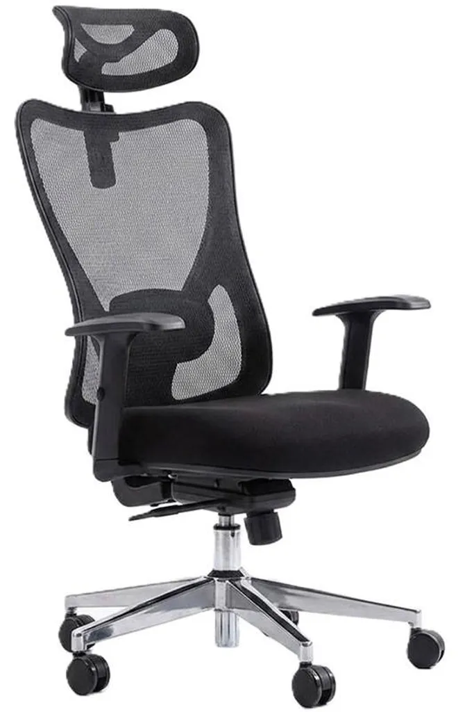 Chaise de bureau ergonomique G-OCNC23-0327-BK avec soutien lombaire 2D