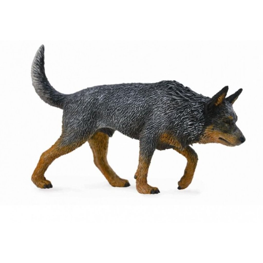 COLLECTA Figurina di cane bovaro australiano 88672 Immagine del prodotto 