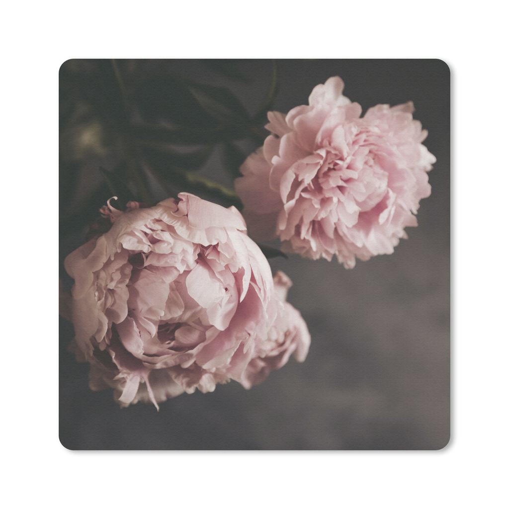 MuchoWow Mauspad Mousepad Zwei rosa Pfingstrosen 20x20 cm - Mousepads - Maus Mat - Pad - Mausunterlage - Desk Mat - Bureauartikeln