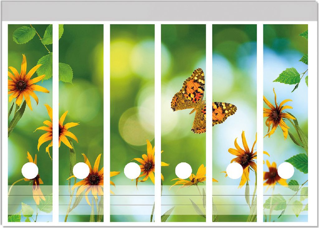 Wallario Ordnerrücken Sticker, selbstklebend für breite Ordner, 6 Stück, Motiv Blumen mit Schmetterling