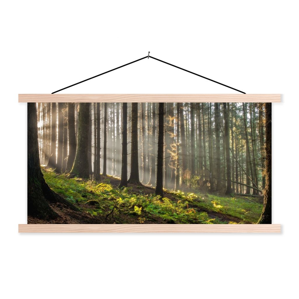 MuchoWow Textilposter Sonne - Äste - Bäume - Wald - Natur 60x30 cm mit holzfarbenen Rahmen - Dekoration
