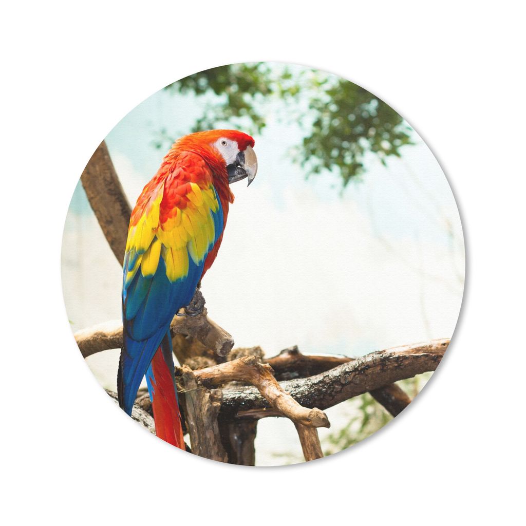 MuchoWow Mauspad Mousepad Papagei - Vogel - Regenbogen - Tropisch 40x40 cm - Mousepads - Maus Mat - Pad - Mausunterlage - Schreibtisch Accessoires