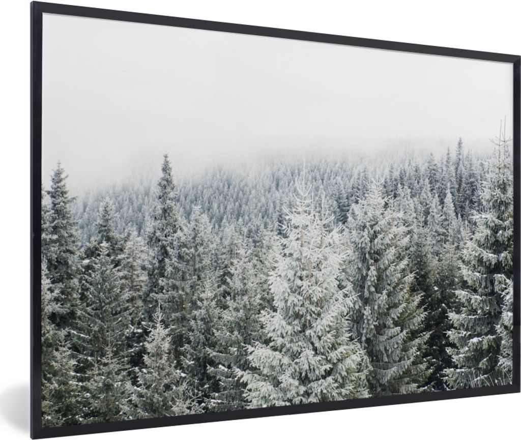 MuchoWow Gerahmtes Poster Wald - Schnee - Winter - Jahreszeiten - Tannenbaum 60x40 cm - Poster mit Schwarzem Bilderrahmen Wandposter Rahmen Foto ...