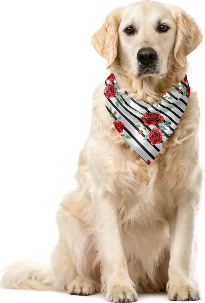 Bandana ABAKUHAUS Pet | San Valentino Aesthetic 55x55 Rubino Verde