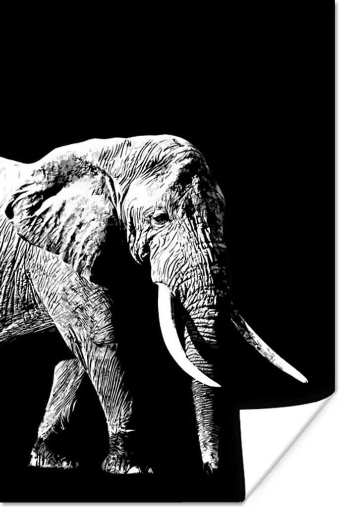 MuchoWow Poster Elefant vor schwarzem Hintergrund - schwarz und weiß 80x120 cm - Papierdruck