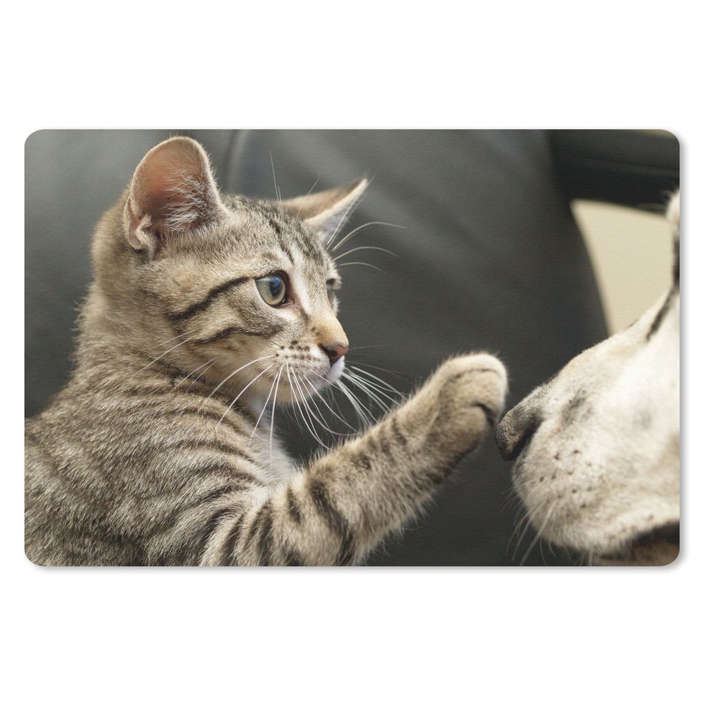 MuchoWow Schreibtischunterlage Katze - Hund - Pfote 60x40 cm - XXL Mauspad - Großes Mauspad