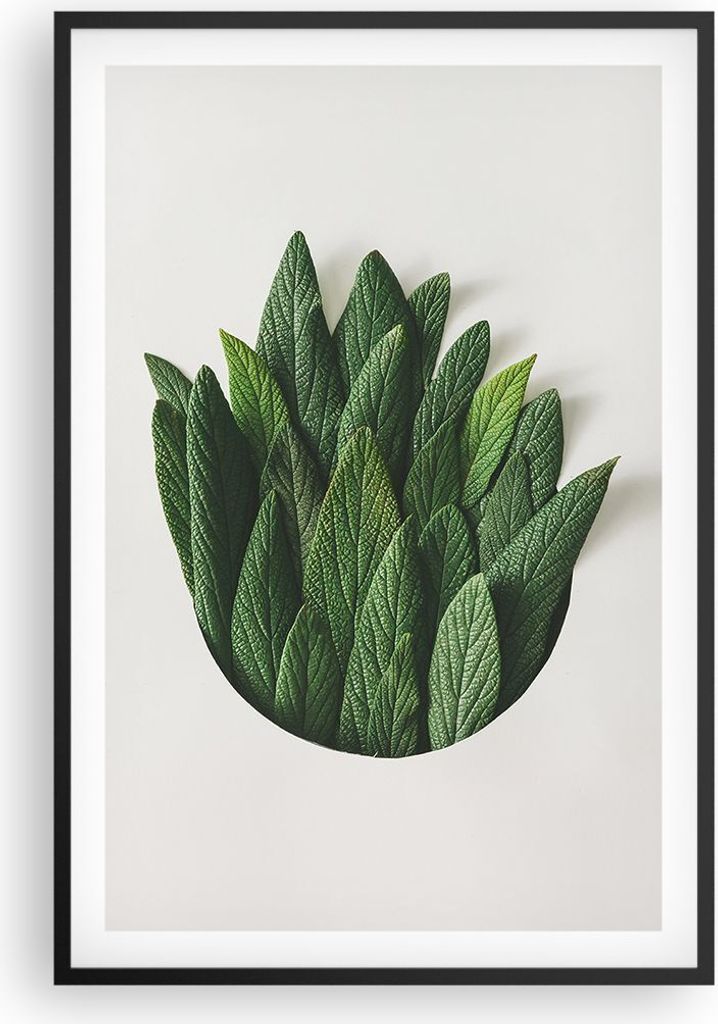 Gerahmtes Poster - Schwarzer Rahmen - Salbei Medizin Blätter - 61x91,5 cm - Wand Bild - Wanddeko - Wandbilder - Kunstposter - Wandposter - Bilderr...