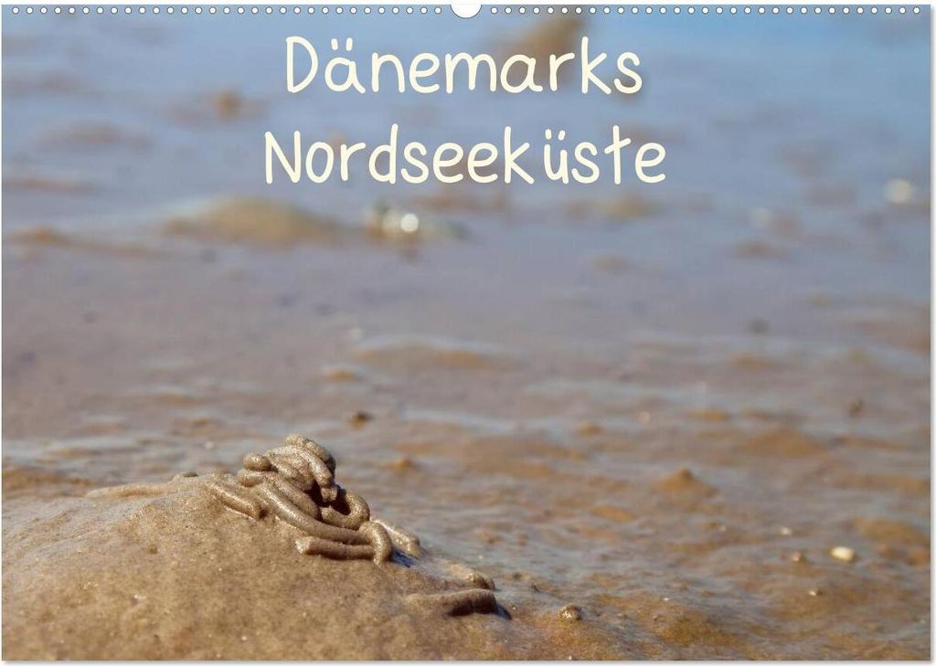 Dänemarks Nordseeküste (Wandkalender 2026 DIN A2 quer), CALVENDO Monatskalender