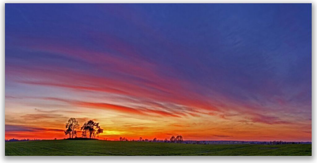 Tulup Leinwand-Bilder 140x70 Wandbild Canvas Kunstdruck Landschaft Feld Bäume Natur