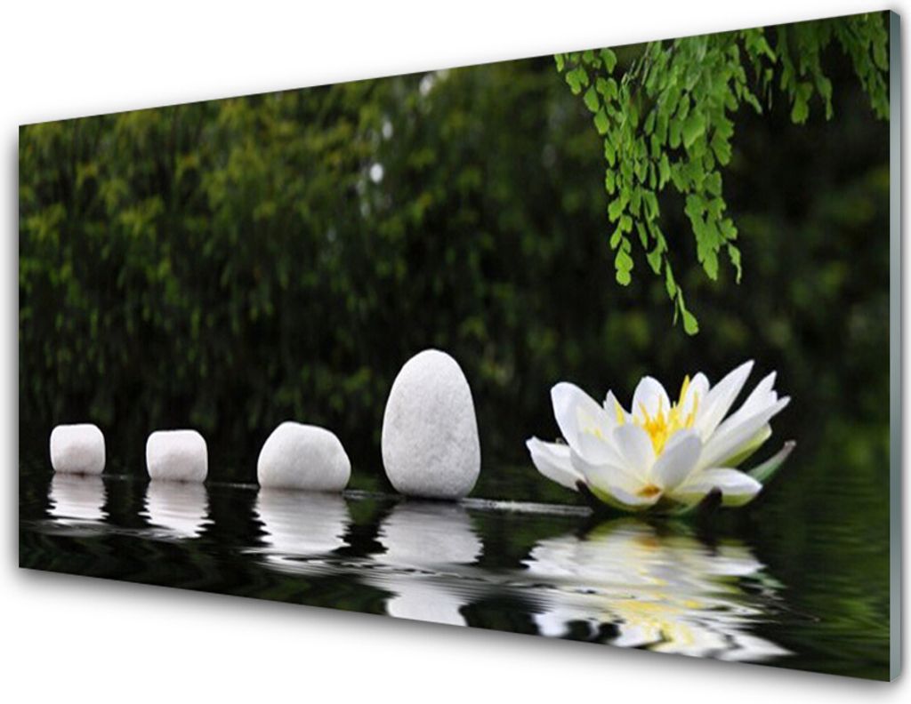Acrylglasbilder 100x50 Wandbild Druck Steine Blume Kunst