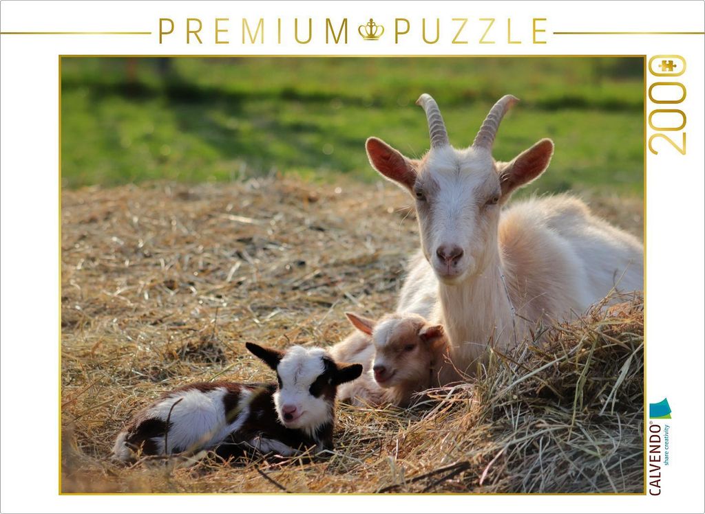 CALVENDO Puzzle Ziegenmutter und zwei Zicklein 2000 Teile Puzzle quer | 2000 Teile Lege-Größe 90x67cm Foto-Puzzle für glückliche Stunden