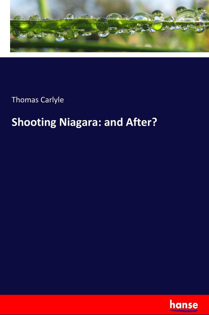 Shooting Niagara: and After?