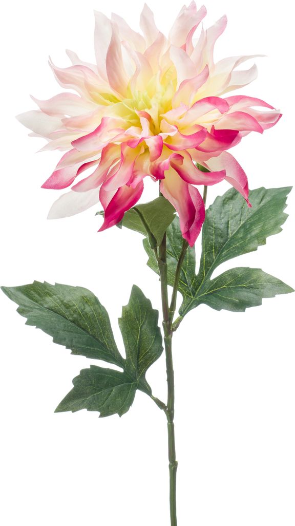 künstliche Dahlie mit XXL Blüte weiß rosa pink H. 60cm Emerald Kunstblumen