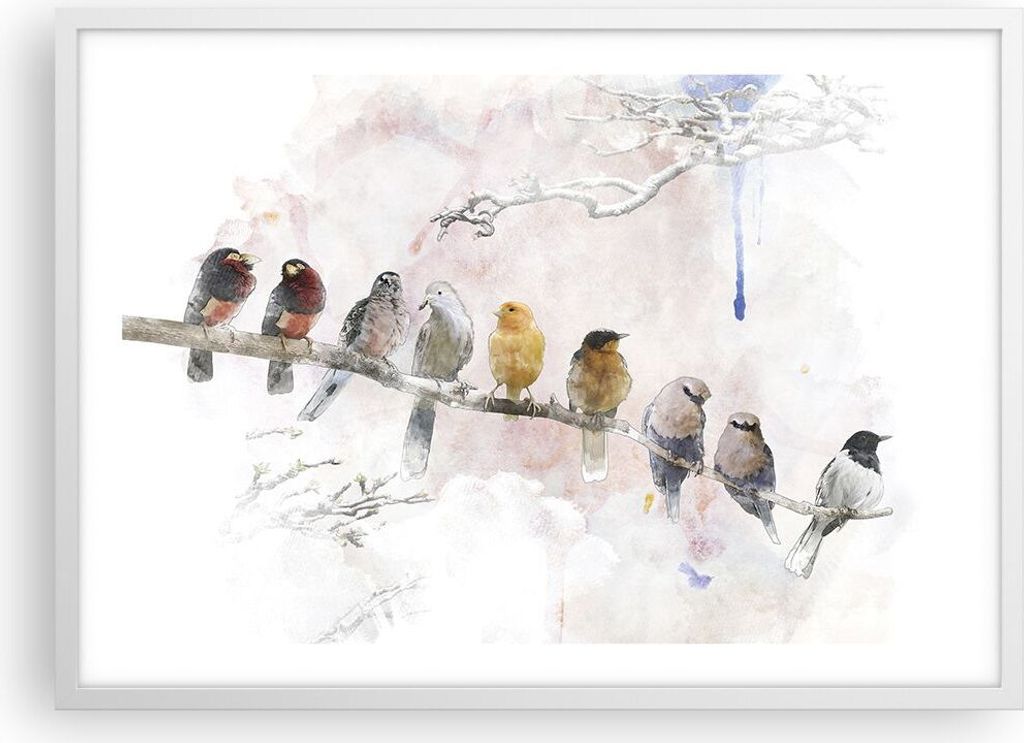 Gerahmtes Poster - Weißer Rahmen - Vögel Kanarienvogel Zweig - 70x50 cm - Wand Bild - Wanddeko - Wandbilder - Kunstposter - Wandposter - Bilderra...
