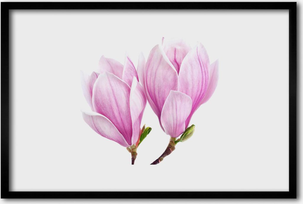 Bild 60x40 MDF-Rahmen Wandkunst Natur Blume Pflanze