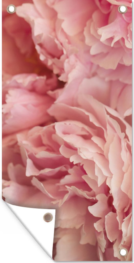 MuchoWow 40x80 cm Outdoor-Poster Gartendeko Sichtschutz Garten Poster für den Garten Draufsicht auf einen Strauß rosa Pfingstrosen