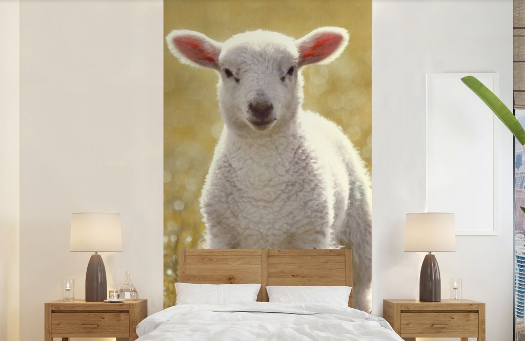 MuchoWow Fototapete für Wohnzimmer oder Schlafzimmer Wandtapete Vinyl Motivtapete Lamm - Gras - Sonne - 120x240 cm - Hintergrundbild