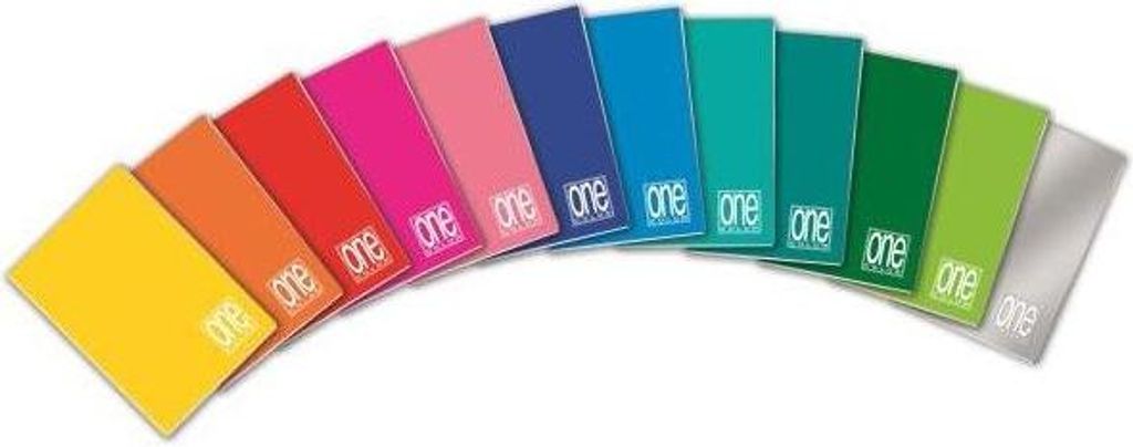 Blasetti One Color Notizbuch A5 210 Blätter Mehrfarbig
