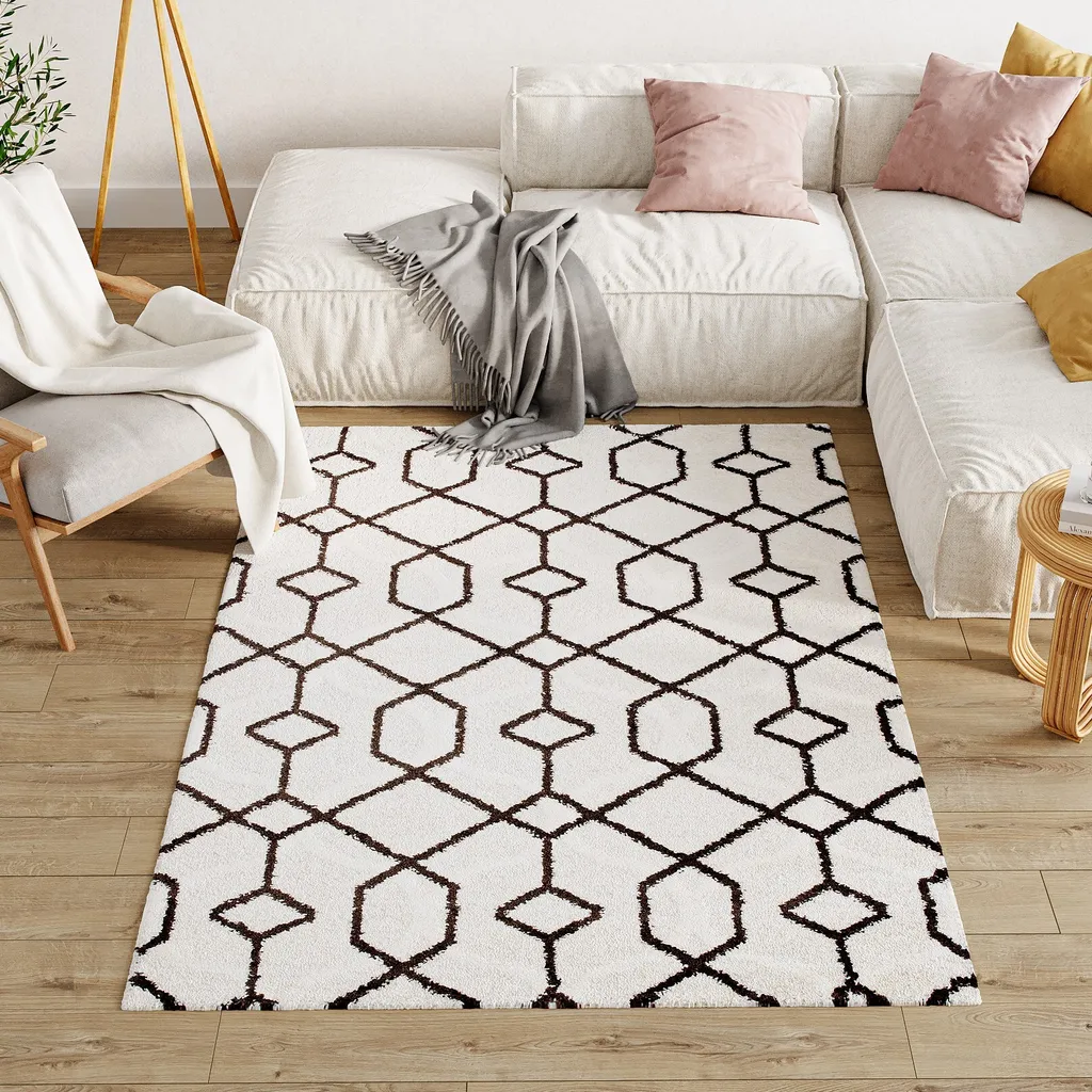 Grand tapis design moderne 200x300 cm pour grand salon chic Shaggy doux