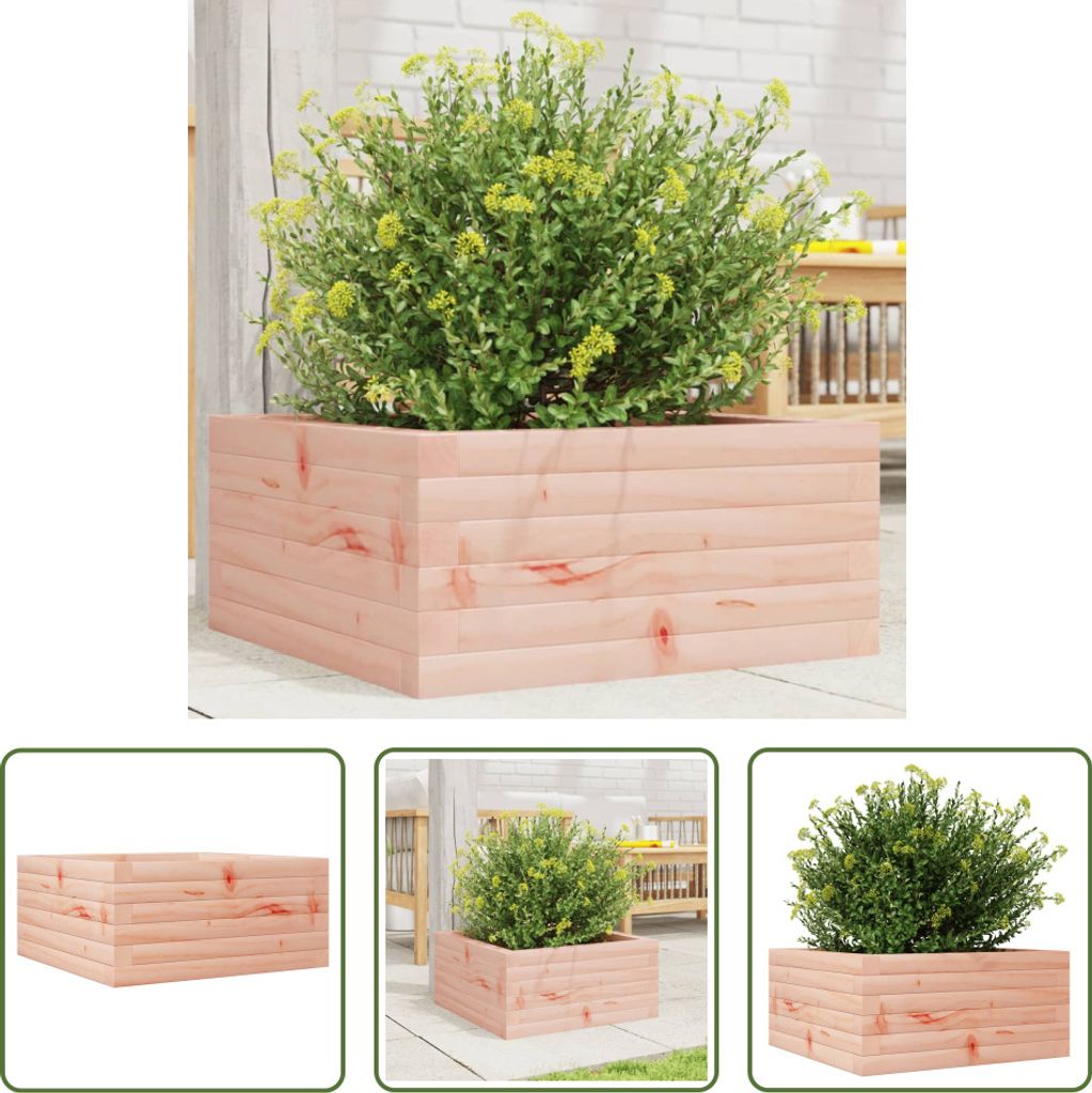 The Living Store Pflanzkübel 50x50x23 cm Massivholz Douglasie