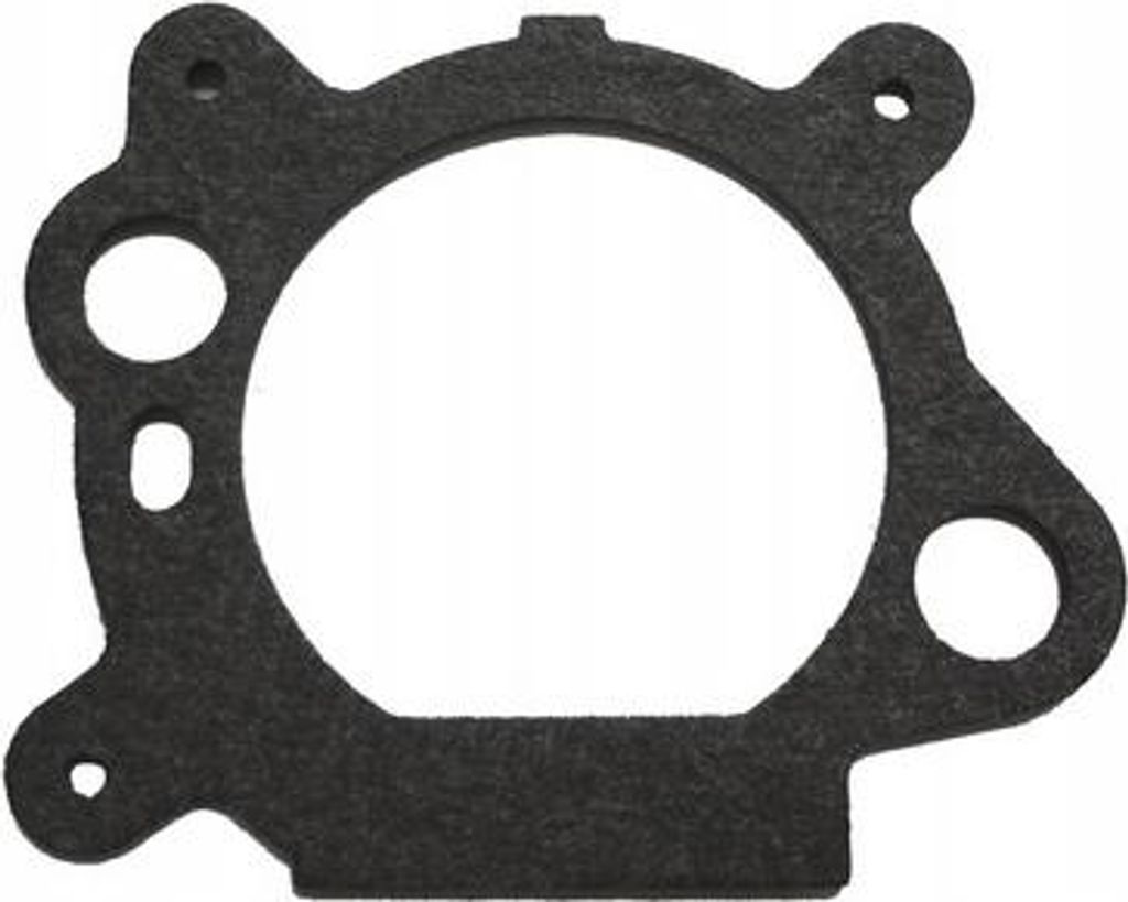 Briggs Stratton B&S Quantum Luftfilterdichtung