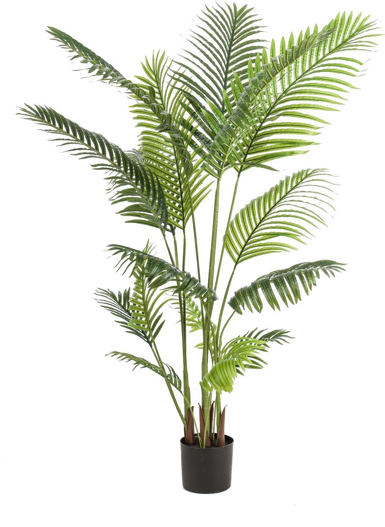 Green boutiQ - Kunstpflanze - Howea Forsteriana - 160 cm - Grün - Pflegeleicht - Hohe Qualität