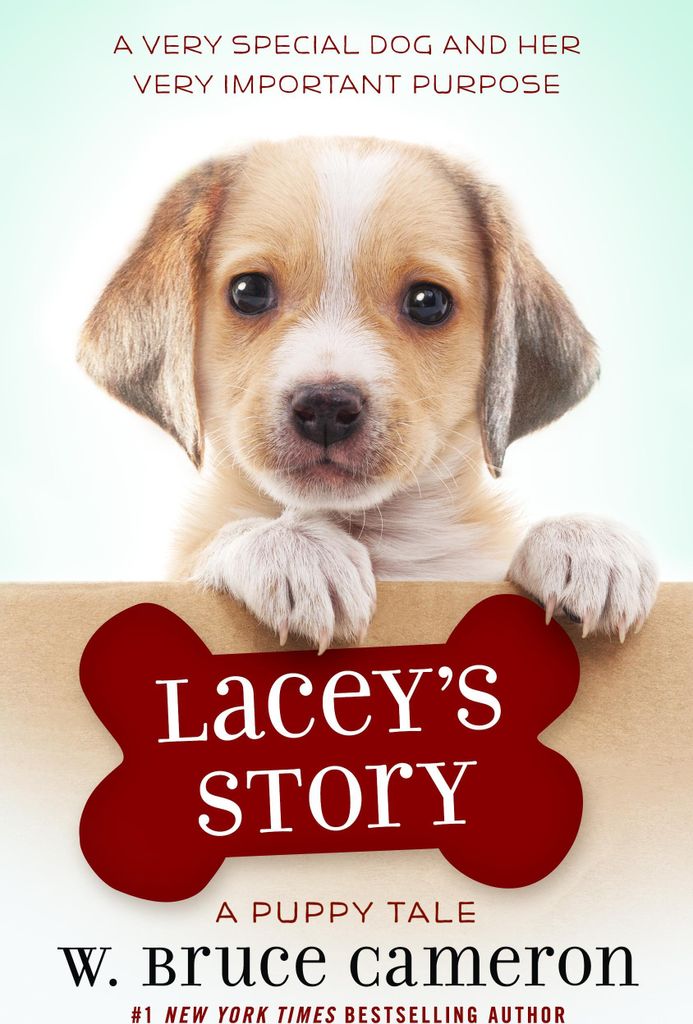 Lacey's Story
