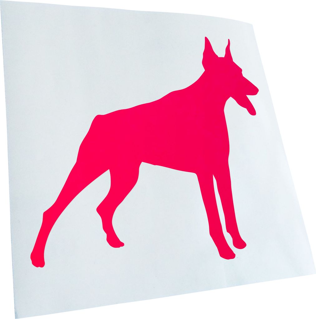 Kiwistar - Autoaufkleber - Dobermann Hunderasse Dog Heckscheibenaufkleber - Aufkleber für Auto Kfz Fahrrad, LKW, Truck Mofa