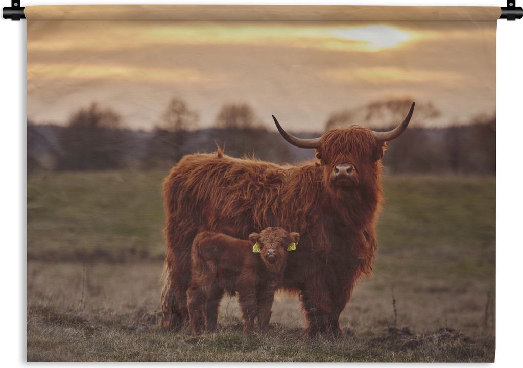 MuchoWow Wandteppich Wandbehang Schottische Highlander - Tiere - Landschaft - Sonnenuntergang - Kuh 60x45 cm Tapisserie Dekoration Wandtuch - Das...