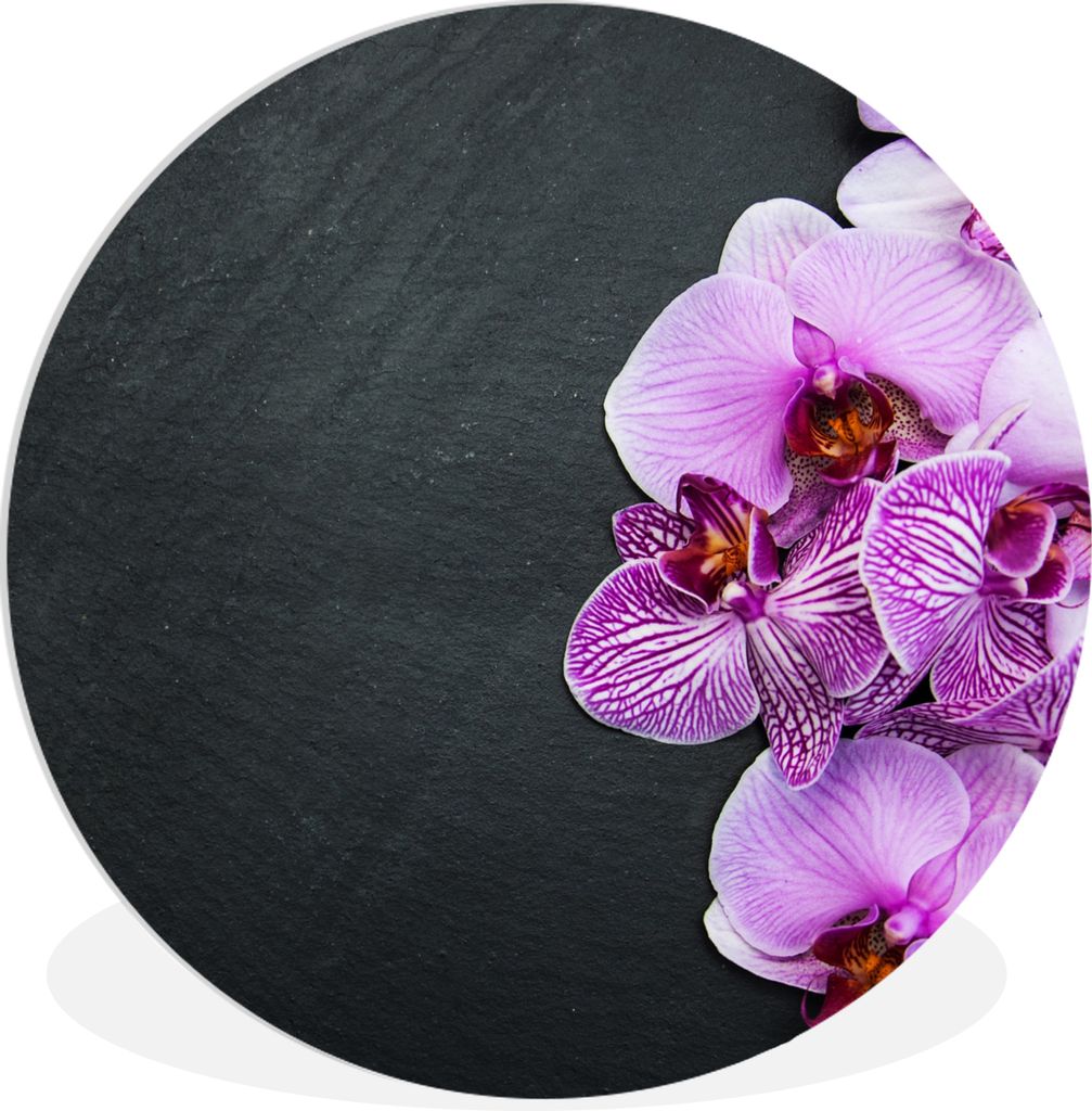 MuchoWow Rundes Wandbild - Runde Bilder Orchidee - Blumen - Rosa - Flora Ø 90 cm Kreis Wanddekoration Kunststoff - Wandkreis - Wandschmuck - Wan...
