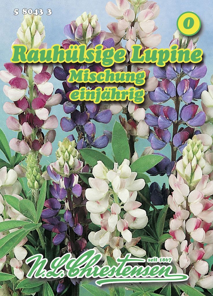 Rauhülsige Lupine Mischung