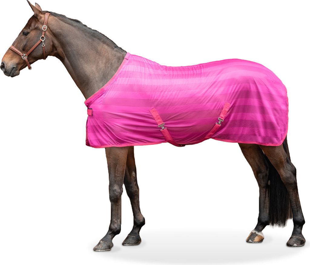 Equinate Fliegendecke Guardian mit Kreuzbegurtung und Widerristpolster 155cm Raspberry