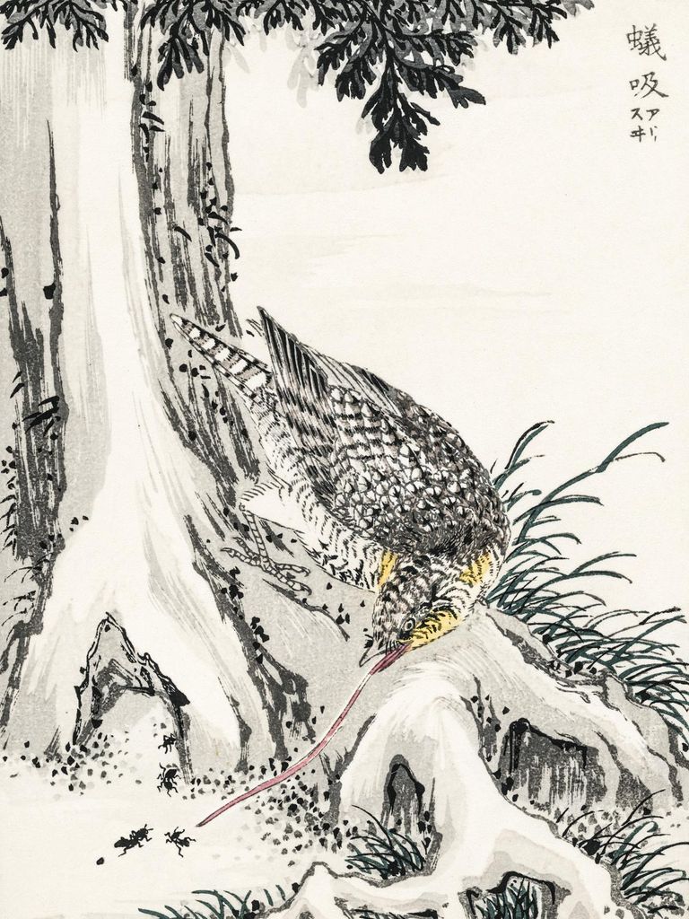 Plakat 15x20cm Kohlmeise 2, Japanische Kashu Vintage für das Wohnzimmer