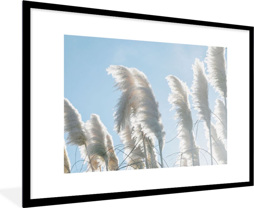 MuchoWow Gerahmtes Poster Himmel - Gras - Pampasgras 90x60 cm - Poster mit Schwarzem Bilderrahmen Wandposter Rahmen Foto Bilder - Wanddekoration ...