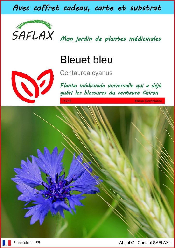 SAFLAX Ensemble-cadeau - Bleuet bleu - 27000 graines - Image du produit 
