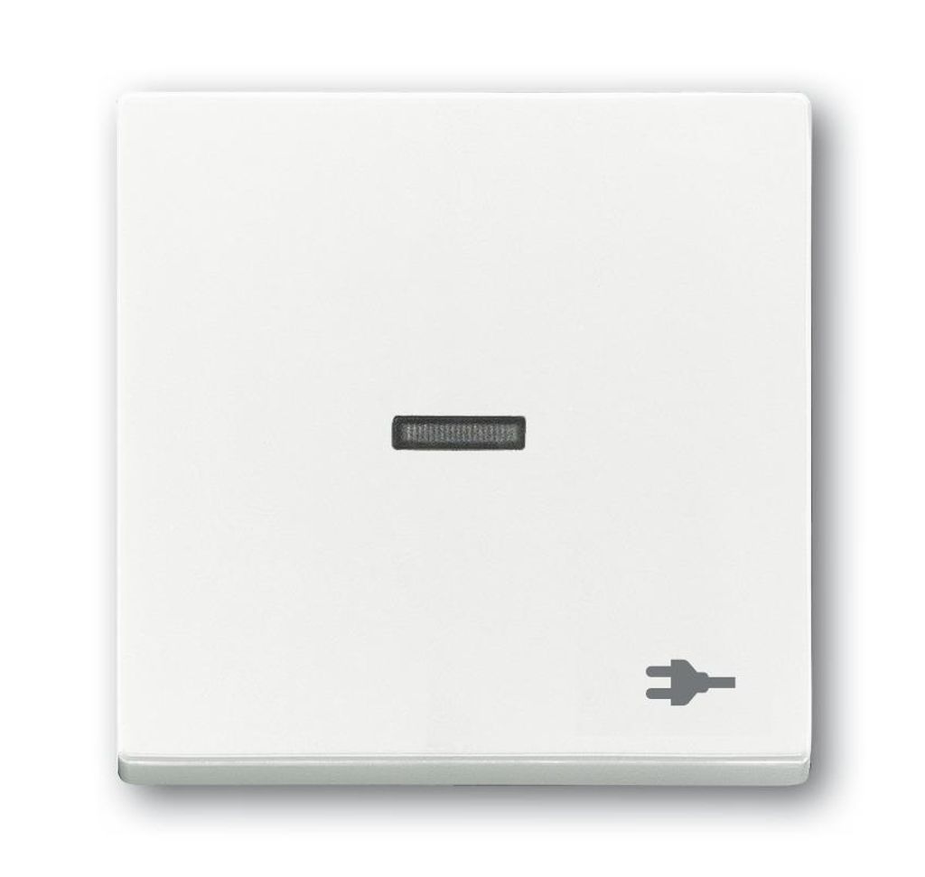 BUSCH-JAEGER Wippe 1t Schalter std-ws div.Symbole