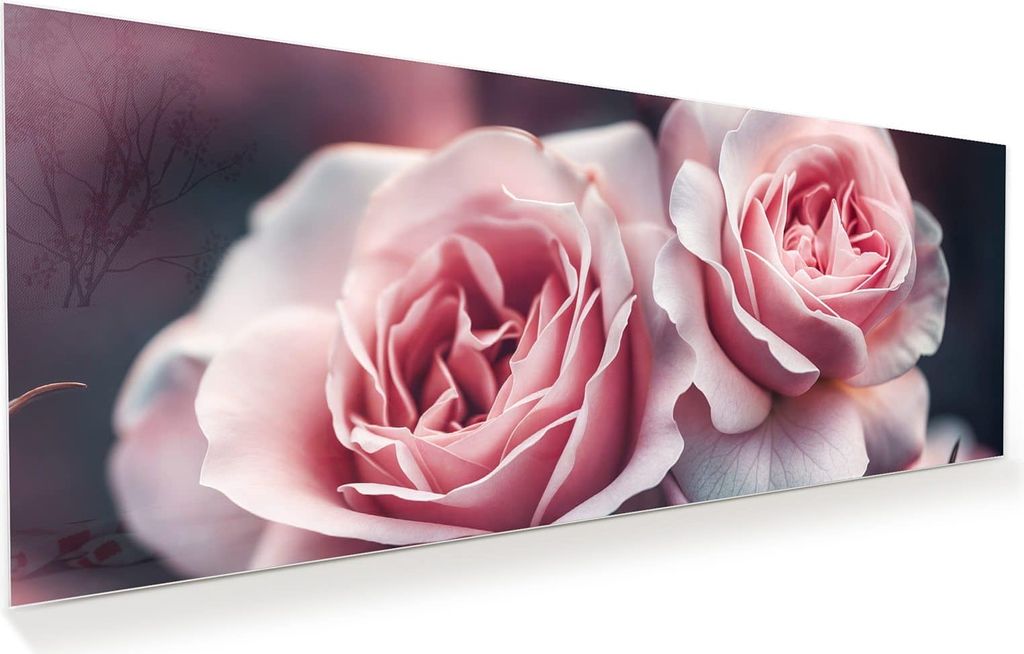 Glasbild 125x50cm in XXL für Wohnzimmer, Schlafzimmer Motiv Rosenblüten Duo