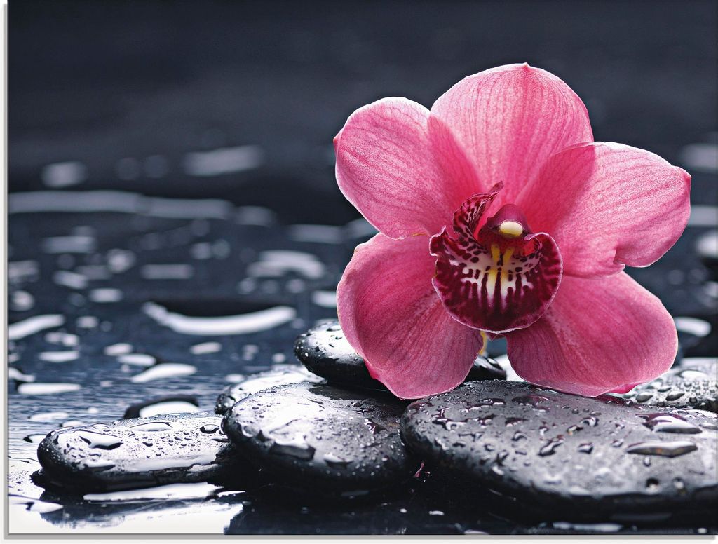 ARTland Glasbild Stillleben mit Kiesel und einer Orchidee Größe: 80x60 cm