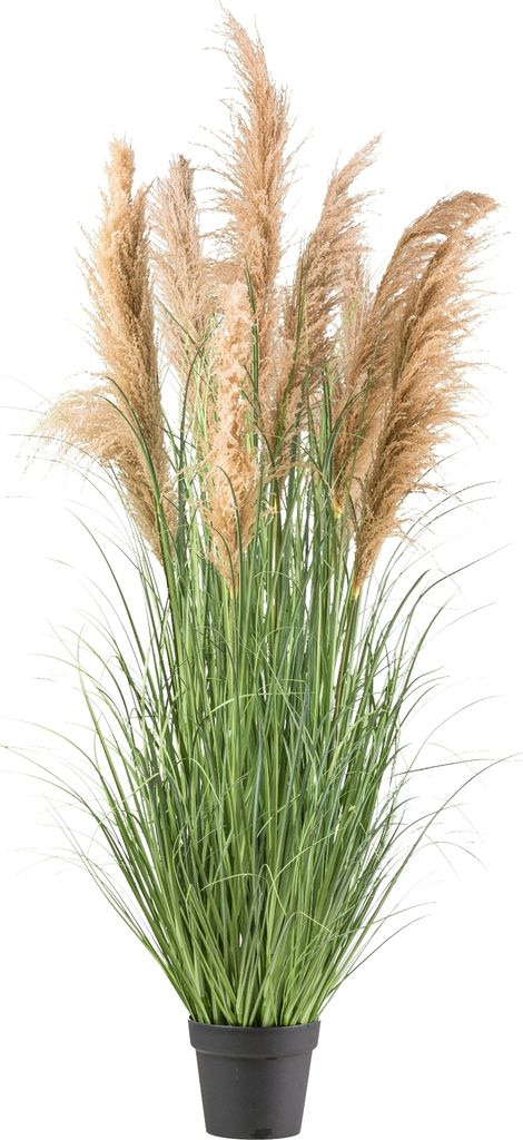 Natur-Schilfgras 165 cm im Topf 21x18,5 cm – Hochwertige Kunstpflanze für Ihr Zuhause