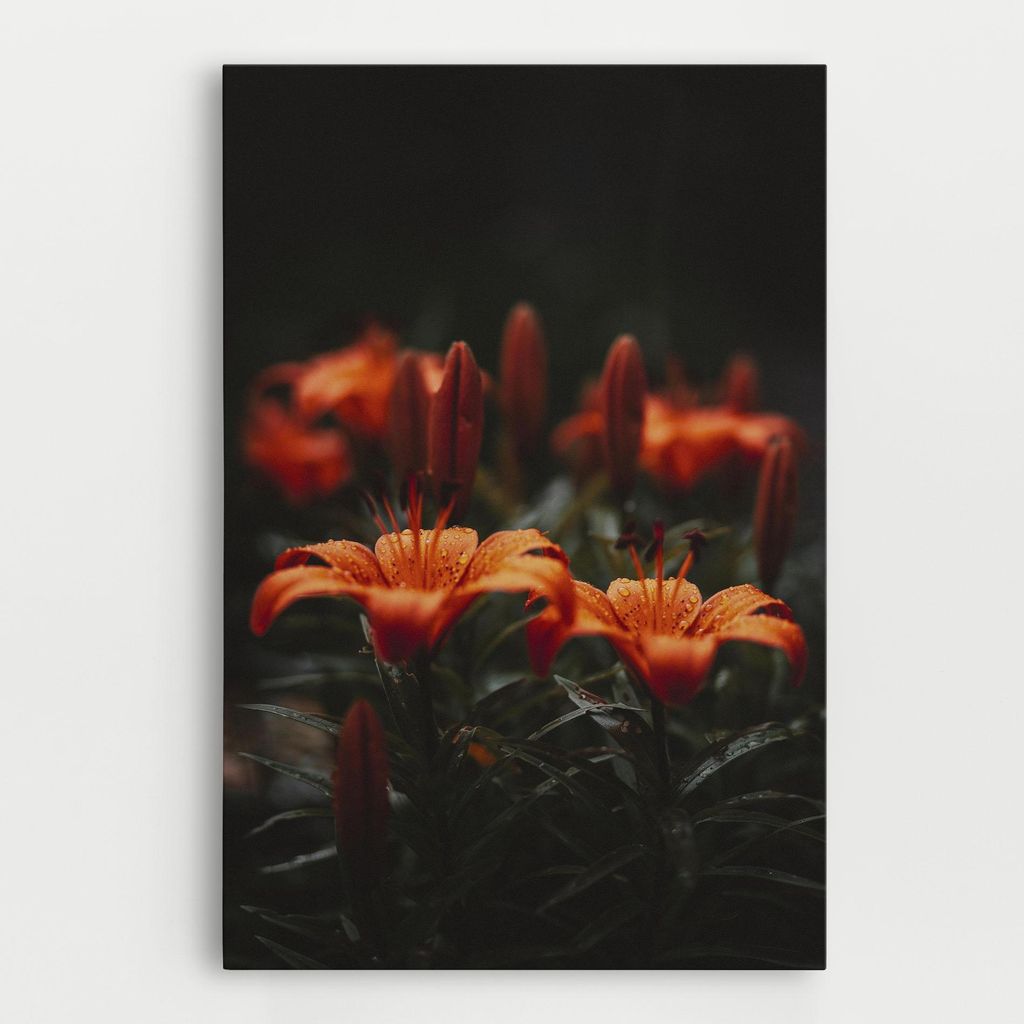 ARTHUB Leinwandbild 20x30 cm, Dreamy Wild Flower | Wohnzimmerdekoration, Hängende Bilder, Wanddekoration, Heimdekoration, Blumen, Blumen in der ...