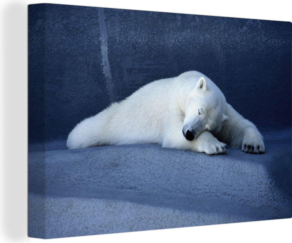 OneMillionCanvasses - Leinwandbilder - 140x90 cm, Schlafender Eisbär, Wandbilder Kunstdruck Wanddekoration - Foto auf Leinwand - Gemälde auf Ho...