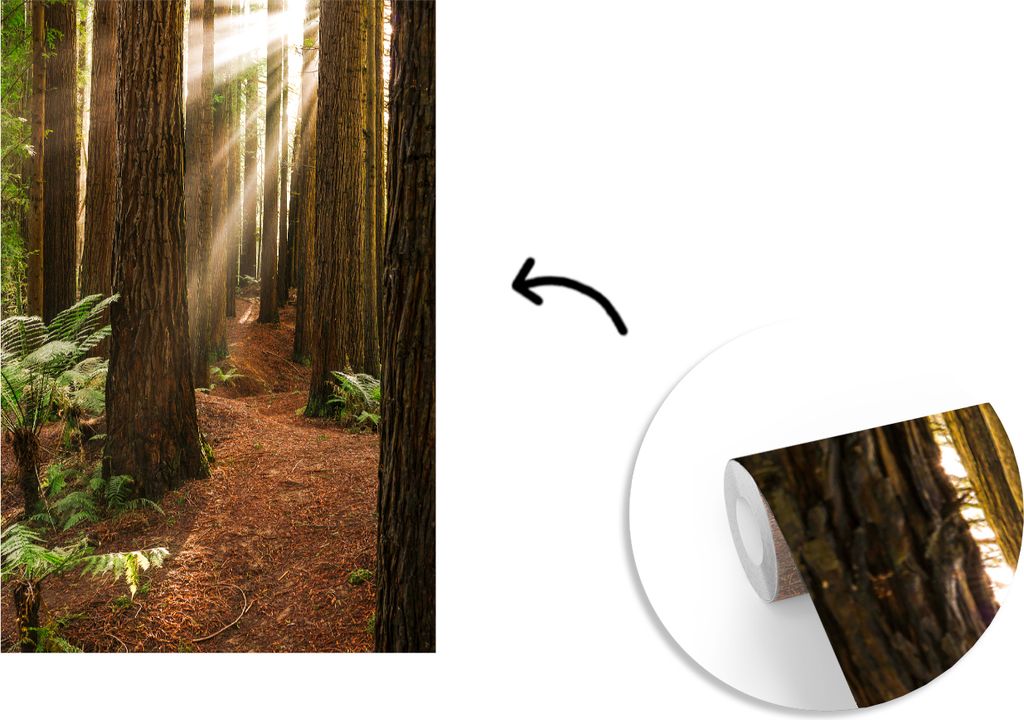 MuchoWow Fototapete für Wohnzimmer oder Schlafzimmer Wandtapete Vinyl Motivtapete Sonnenstrahlen zwischen den Mammutbäumen - 190x280 cm - Küche