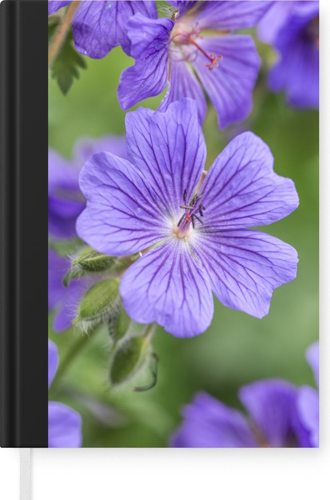 MuchoWow Notizbuch Tagebuch Haushaltsbuch Notebook A5 Violette Geranien in voller Blüte - Notizblock - Notizheft - Notebook - Schreibblock - Papier