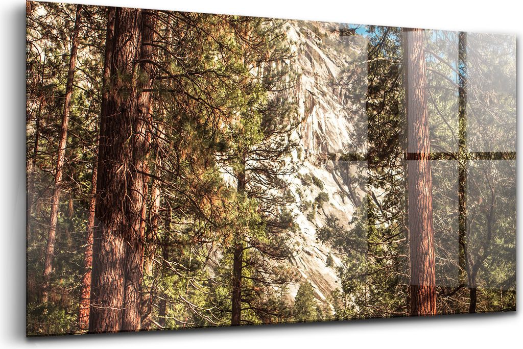 Bilder auf glas - Einteilig - Wanddekoration - Glas Bilder - 120x60 - Wald im Yosemite-Tal