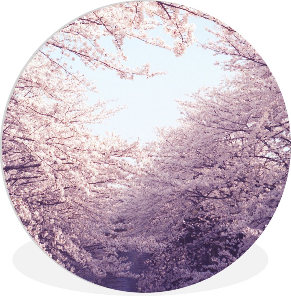 MuchoWow Rundes Wandbild - Runde Bilder Kirschbaumzweige im Frühling Ø 30 cm Kreis Wanddekoration Kunststoff - Wandkreis - Wandschmuck - Schlaf...