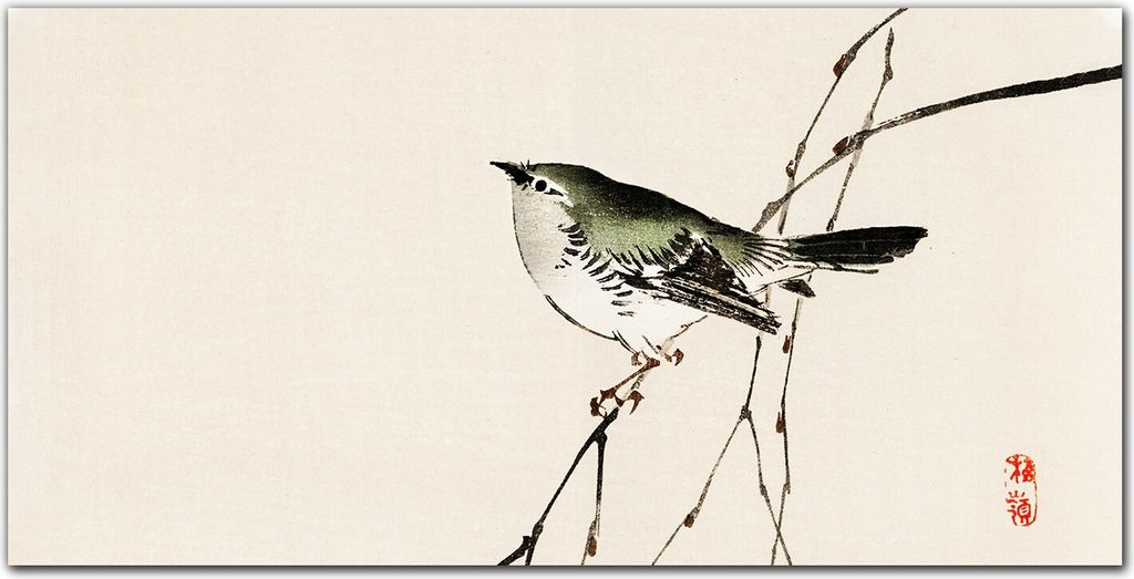 Coloray Bild aus Acryl 140 cm x 70 cm - Dekoration Wohnzimmer Wanddekoration Gehärtetes Acryl Küche Bild auf Acrylglas - Zweige Tier Vogel