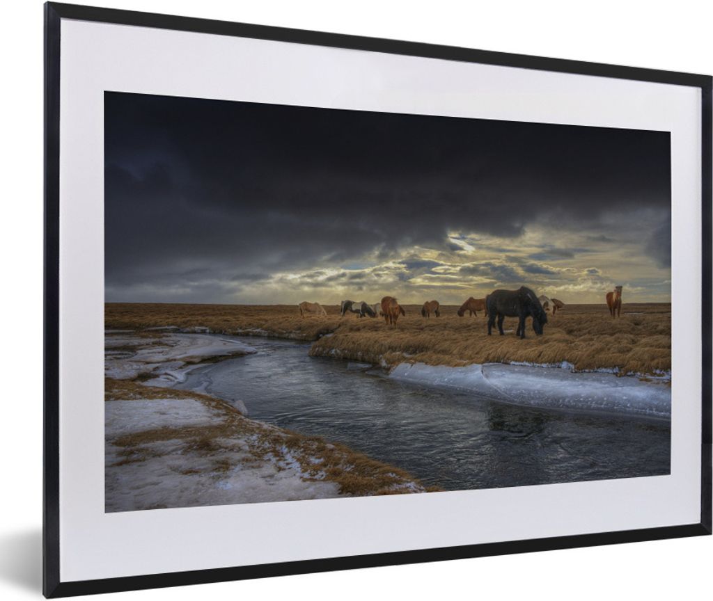 MuchoWow® Gerahmtes Poster Pferde - Eis - Gras 60x40 cm - Produktbild 